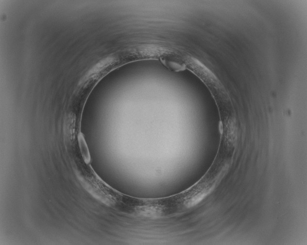 X0000085230356200703091157