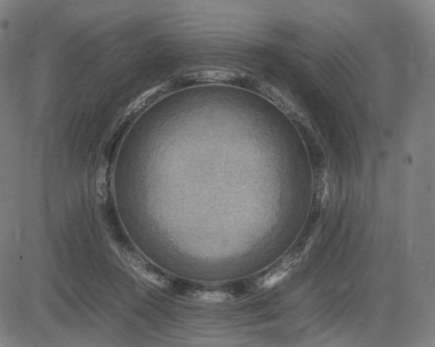 X0000085230360200703091157