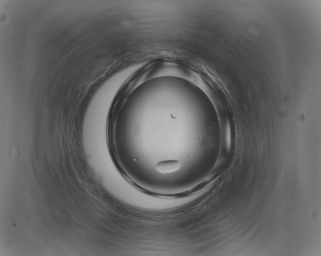 X0000085230362200703091157