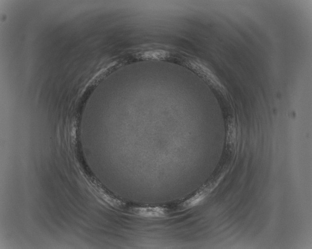 X0000085230363200703091157