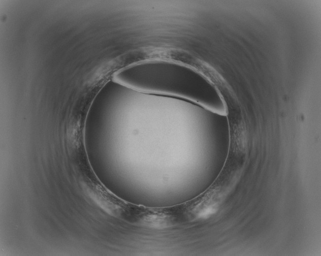 X0000085230364200703091157