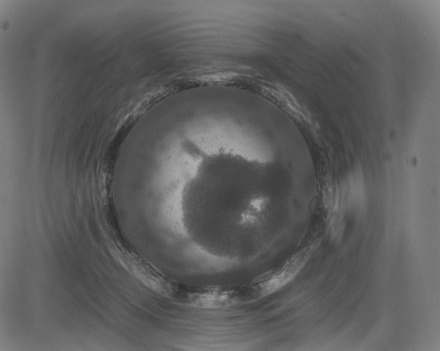 X0000085230366200703091157