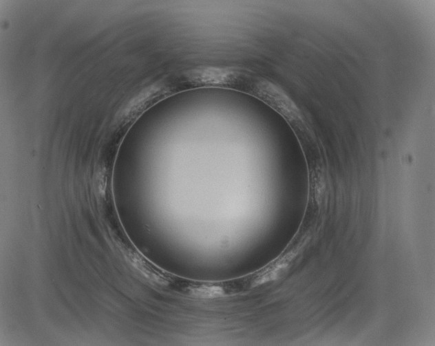 X0000085230374200703091157