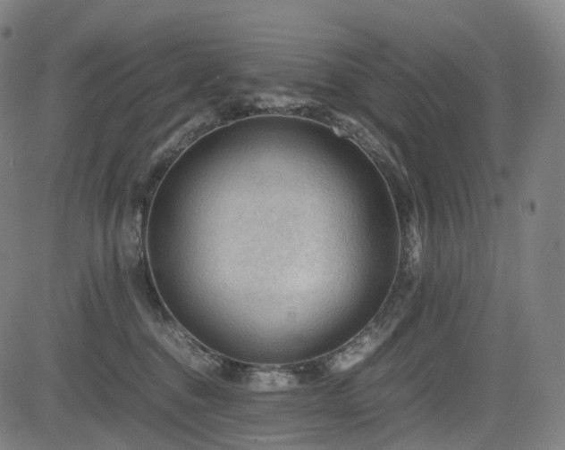 X0000085230376200703091157