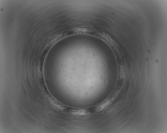 X0000085230377200703091157