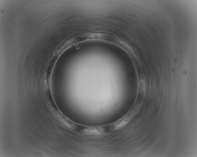 X0000085230381200703091157