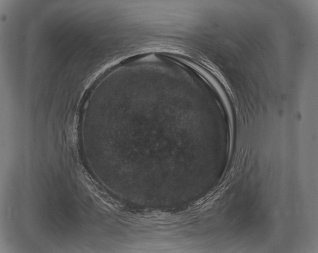 X0000085230387200703091156