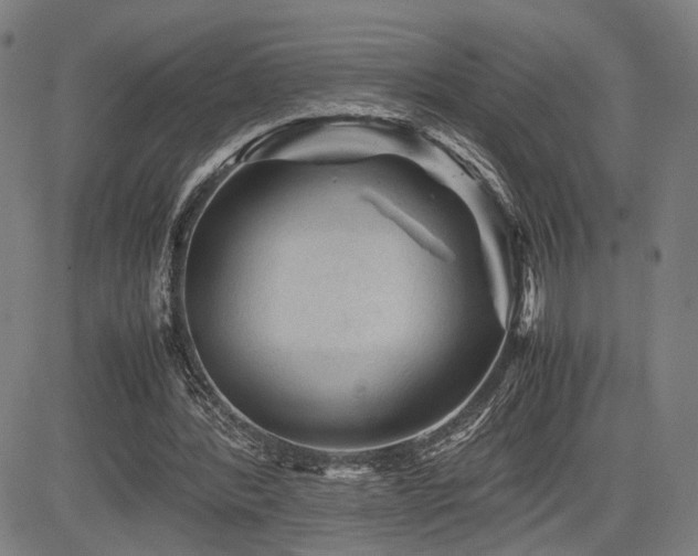 X0000085230388200703091156