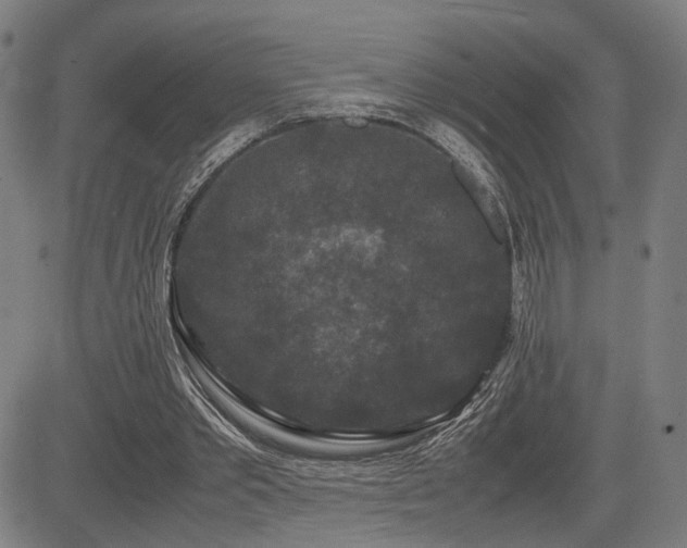 X0000085230389200703091156