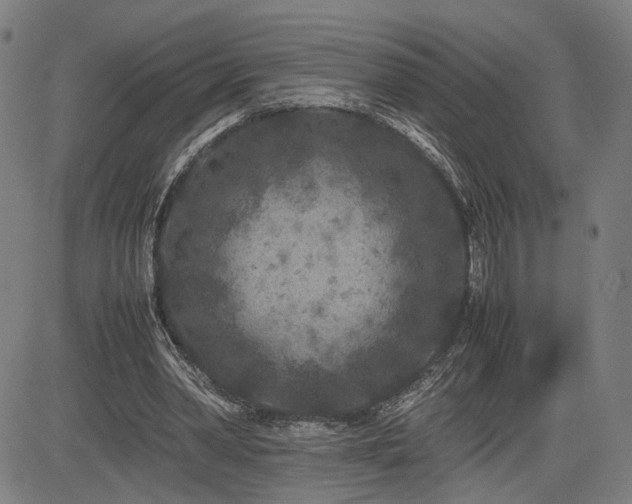 X0000085230390200703091156