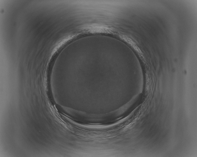 X0000085230391200703091156