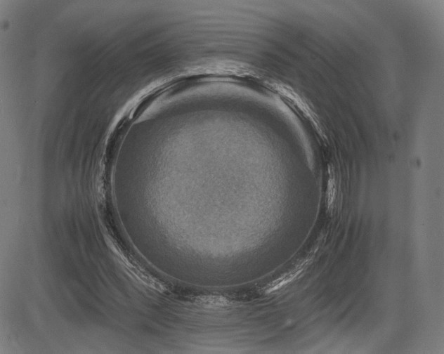 X0000085230392200703091156