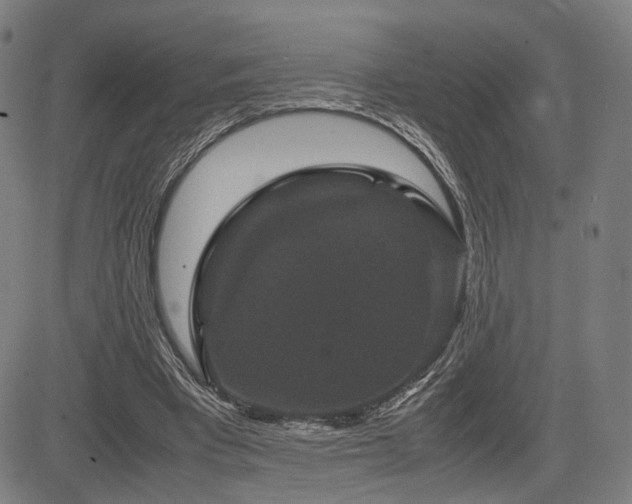X0000085230393200703091156