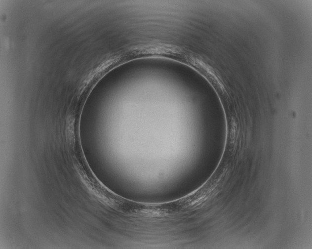 X0000085230394200703091156