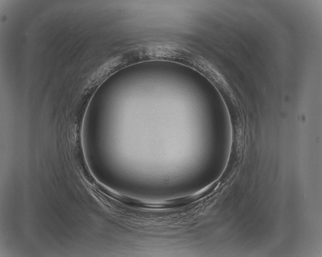 X0000085230401200703091156