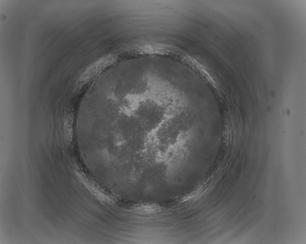 X0000085230402200703091156