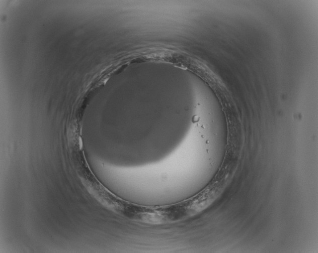 X0000085230411200703091156