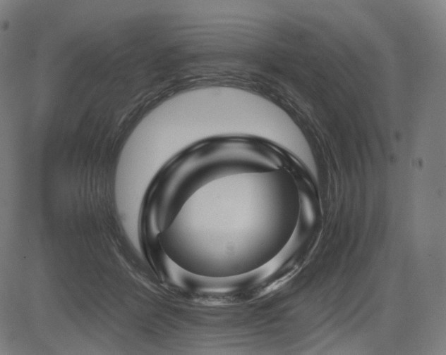 X0000085230412200703091156