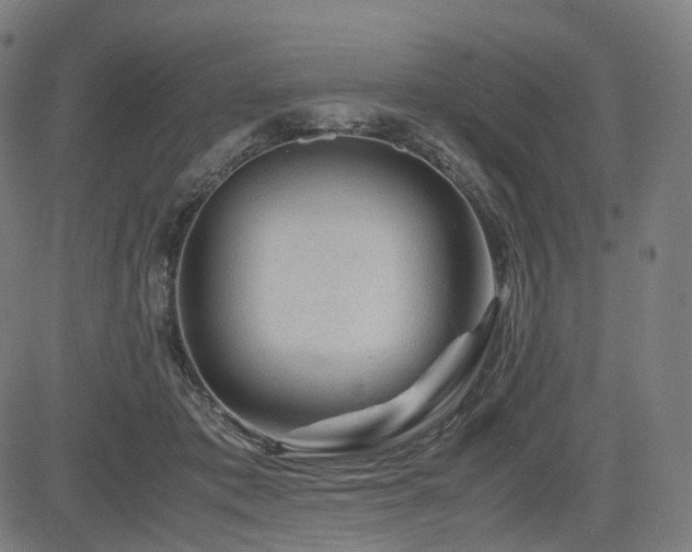 X0000085230413200703091156