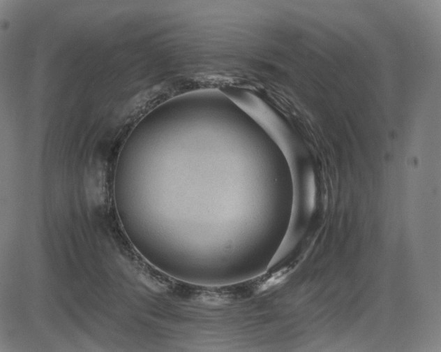 X0000085230416200703091156