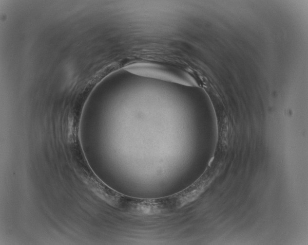 X0000085230420200703091156