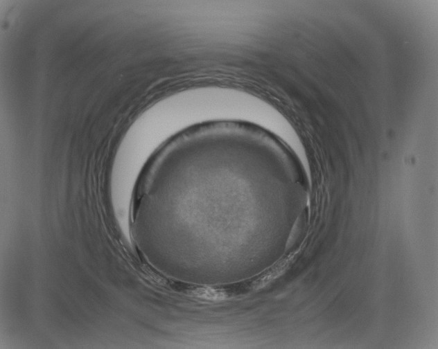 X0000085230421200703091156