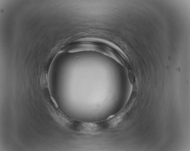X0000085230429200703091156