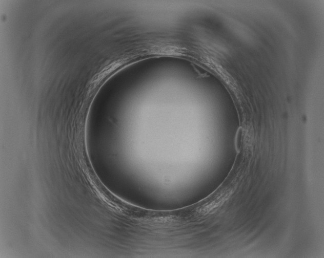 X0000085230433200703091155