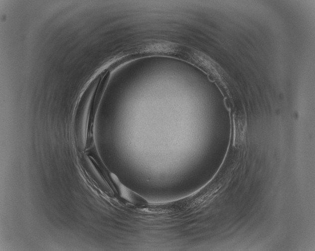 X0000085230435200703091155