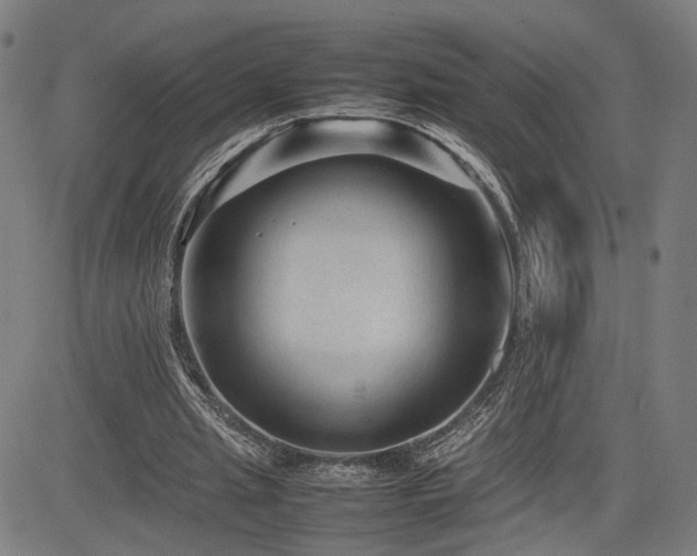 X0000085230437200703091155