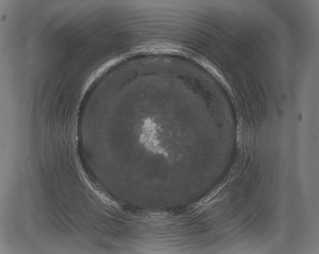 X0000085230438200703091155