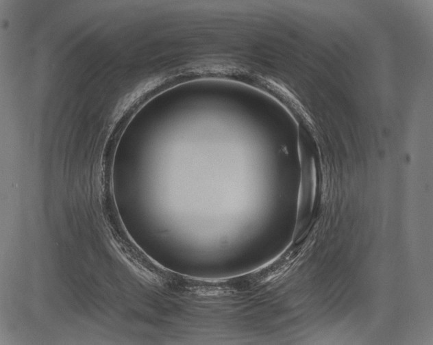X0000085230439200703091155