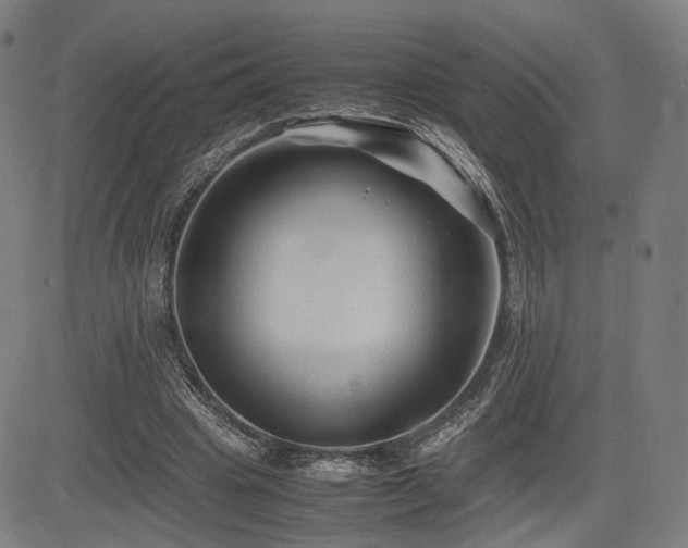 X0000085230441200703091155