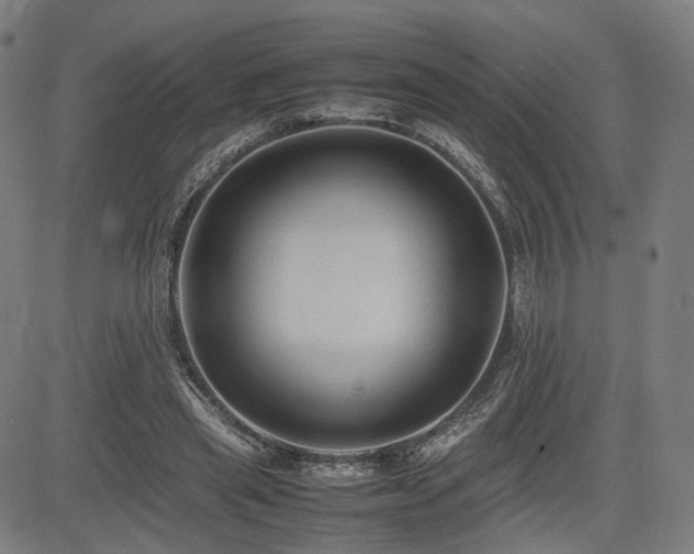 X0000085230445200703091155