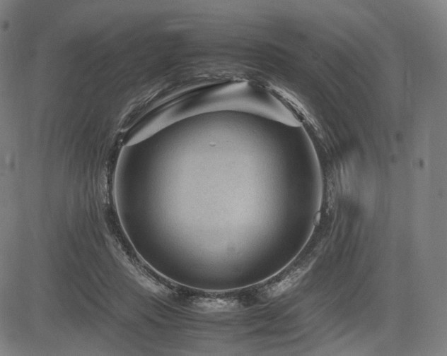 X0000085230453200703091155