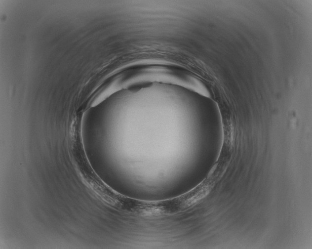 X0000085230456200703091155