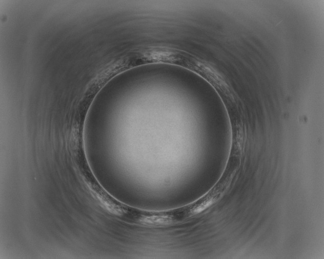 X0000085230461200703091155