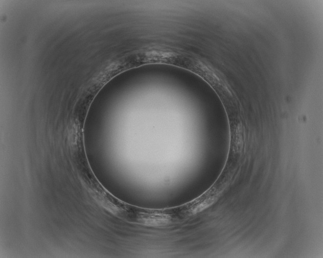 X0000085230463200703091155