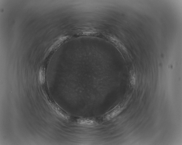X0000085230471200703091156