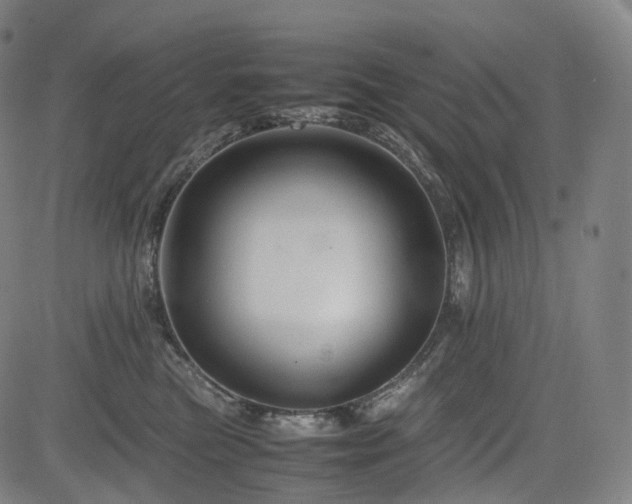 X0000085230473200703091156