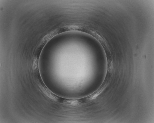 X0000085230478200703091156