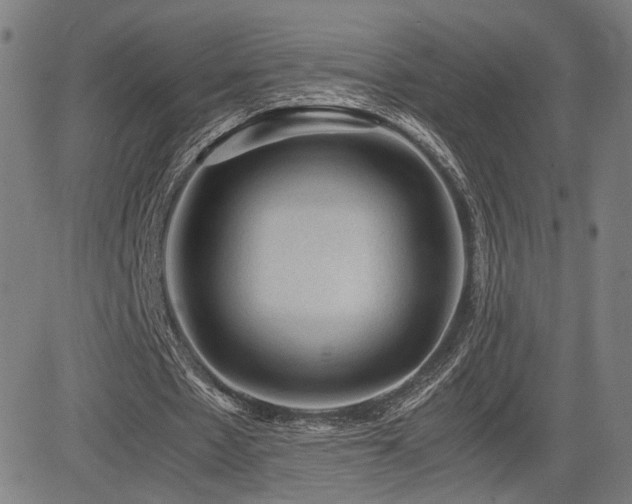 X0000085230481200703091155