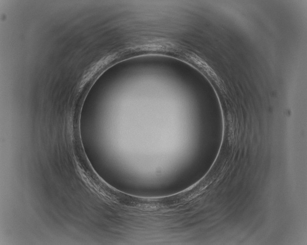 X0000085230482200703091155