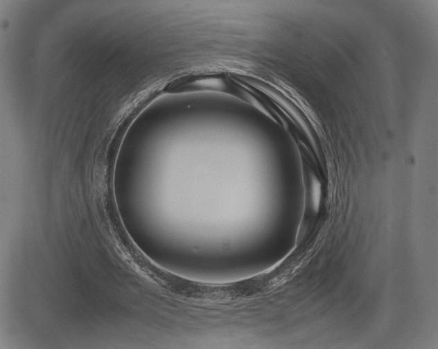 X0000085230485200703091155