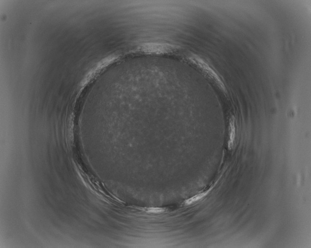 X0000085230492200703091155