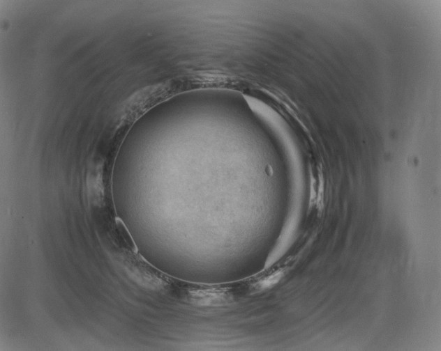 X0000085230516200703091154