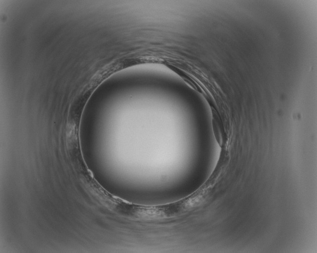 X0000085230521200703091154