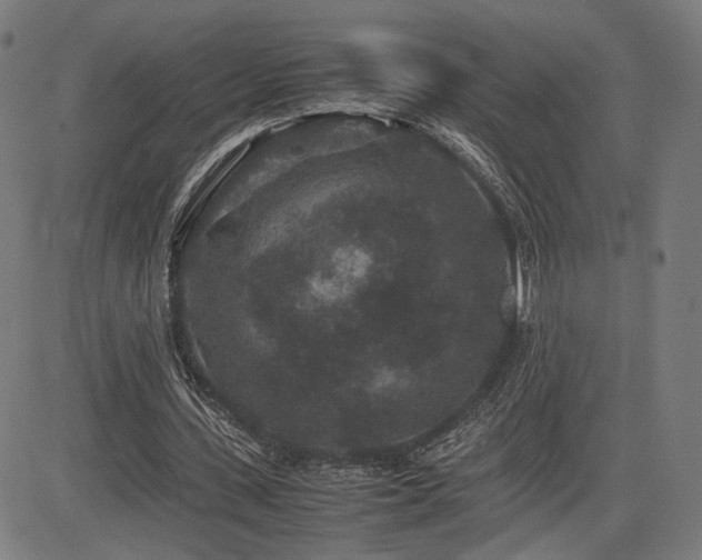 X0000085230531200703091153