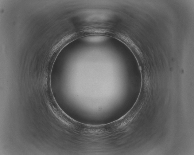 X0000085230533200703091153