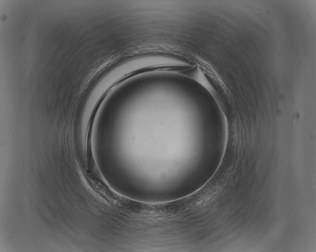 X0000085230538200703091153